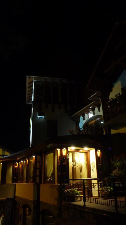 Vila Silvia Sovata Bagian luar foto