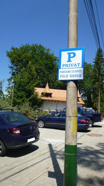 Vila Silvia Sovata Bagian luar foto